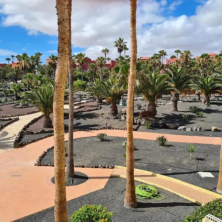 Oasis Royal F319 * Corralejo